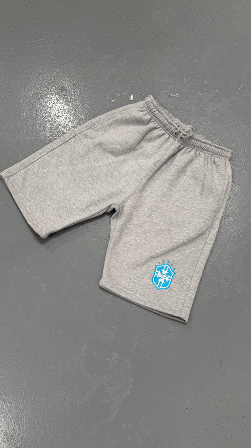 BRAZIL GREY/BLUE SHORTS