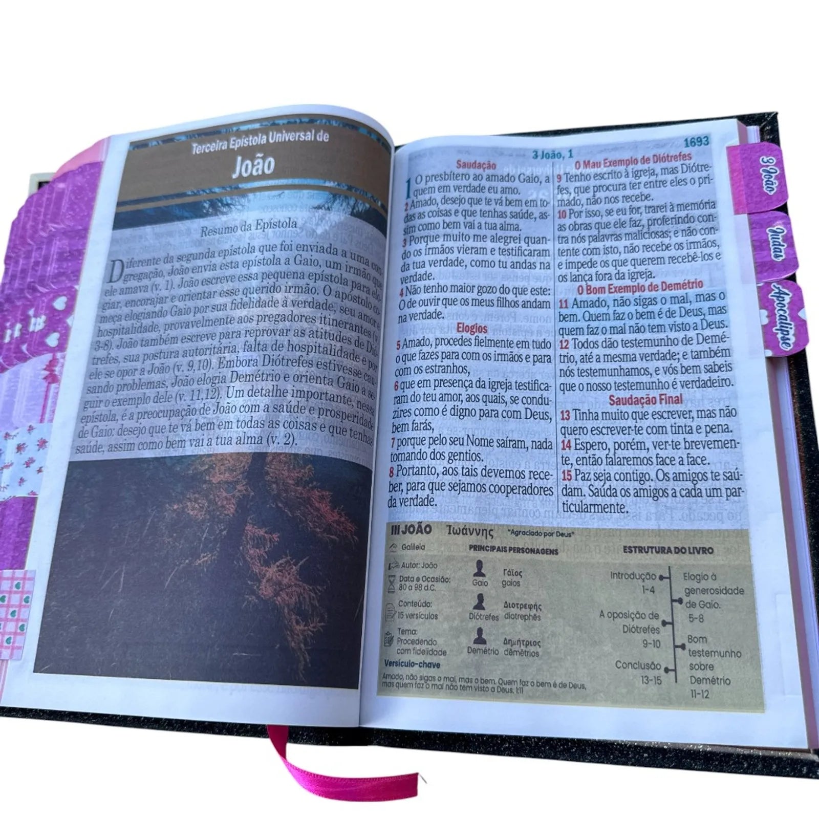 Bíblia Filha do Rei, Letra Jumbo com Abas Adesivas e Detalhes em Glitter