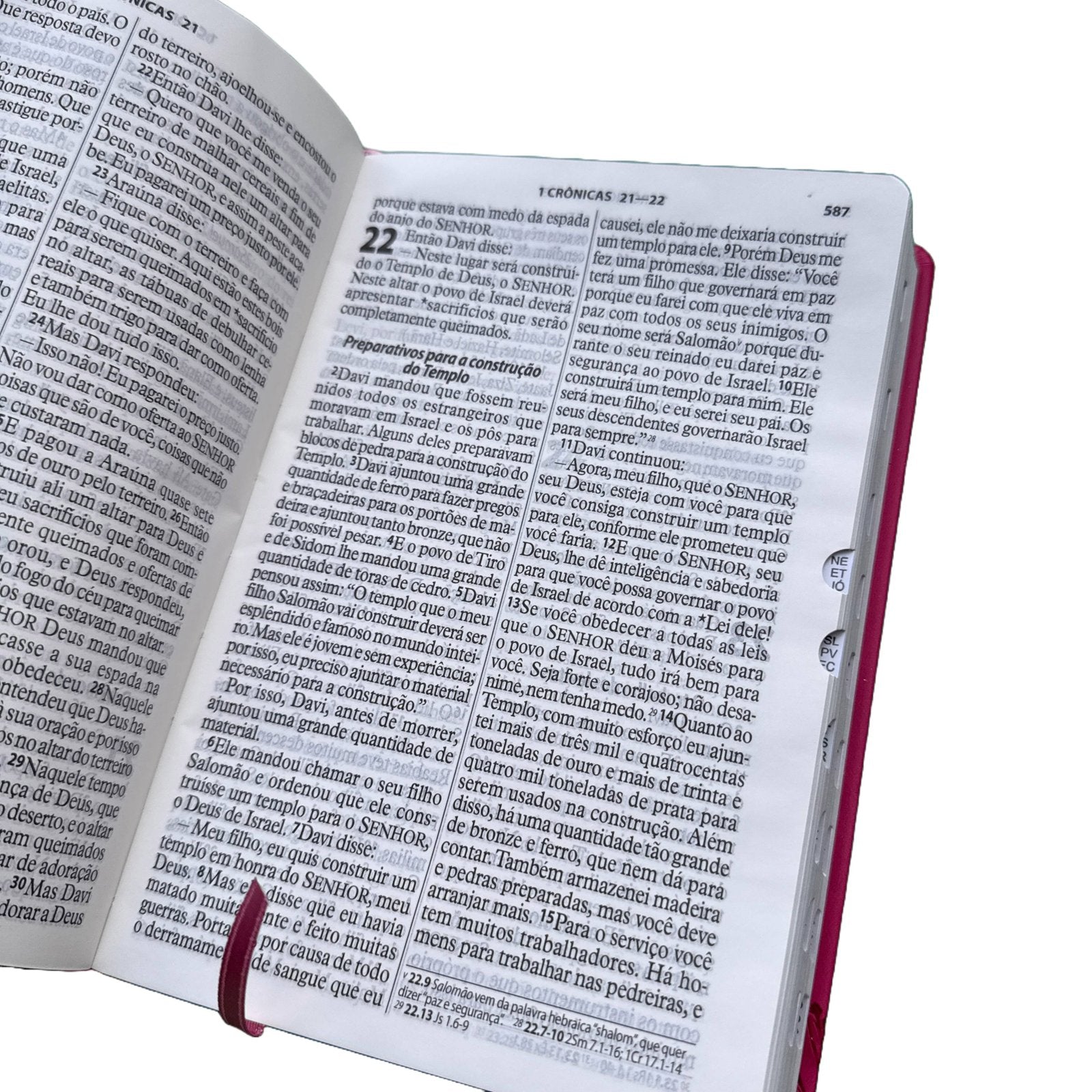 Bíblia Sagrada Capa Luxo Pink, Letra Gigante, Tradução NTLH